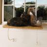 Kitty Window Perch